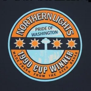 Northern Lights T-Shirt